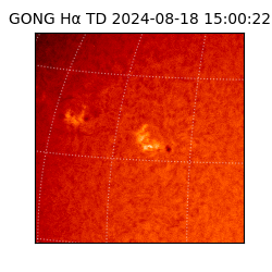 gong - 2024-08-18T15:00:22