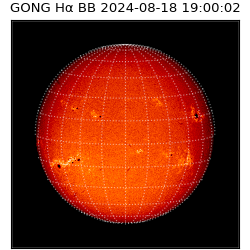 gong - 2024-08-18T19:00:02