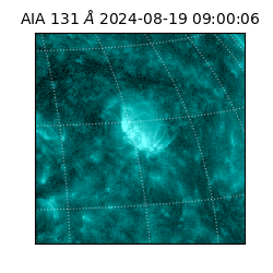 saia - 2024-08-19T09:00:06.625000