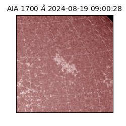 saia - 2024-08-19T09:00:28.710000