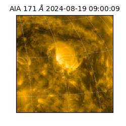 saia - 2024-08-19T09:00:09.350000