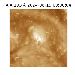 saia - 2024-08-19T09:00:04.843000