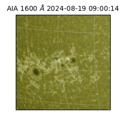 saia - 2024-08-19T09:00:14.126000