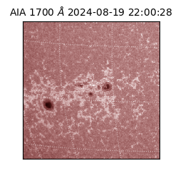 saia - 2024-08-19T22:00:28.717000