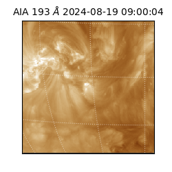saia - 2024-08-19T09:00:04.843000