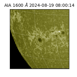 saia - 2024-08-19T08:00:14.125000
