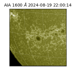 saia - 2024-08-19T22:00:14.126000
