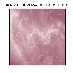 saia - 2024-08-19T09:00:09.627000