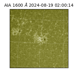 saia - 2024-08-19T02:00:14.125000