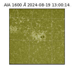 saia - 2024-08-19T13:00:14.126000
