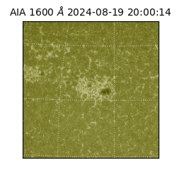 saia - 2024-08-19T20:00:14.126000