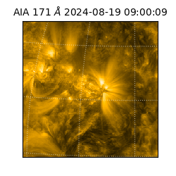 saia - 2024-08-19T09:00:09.350000