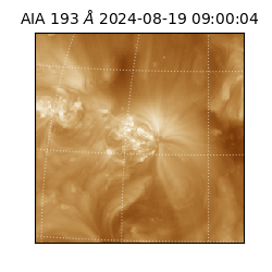 saia - 2024-08-19T09:00:04.843000
