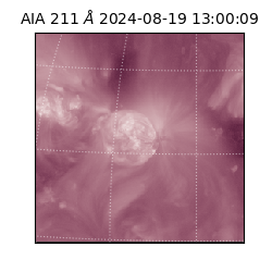 saia - 2024-08-19T13:00:09.623000