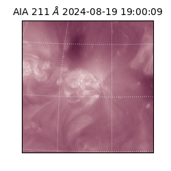 saia - 2024-08-19T19:00:09.627000
