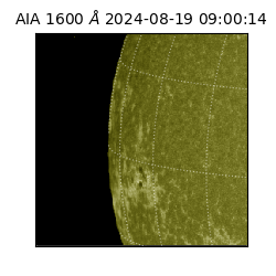 saia - 2024-08-19T09:00:14.126000