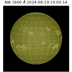 saia - 2024-08-19T10:00:14.129000