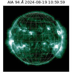 saia - 2024-08-19T10:59:59.129000