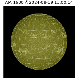 saia - 2024-08-19T13:00:14.126000