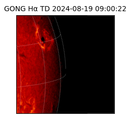 gong - 2024-08-19T09:00:22