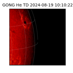gong - 2024-08-19T10:10:22