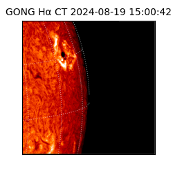 gong - 2024-08-19T15:00:42