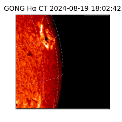 gong - 2024-08-19T18:02:42