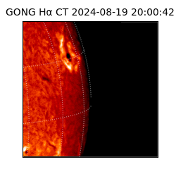 gong - 2024-08-19T20:00:42