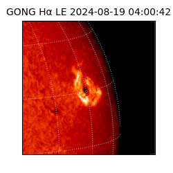 gong - 2024-08-19T04:00:42