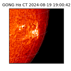 gong - 2024-08-19T19:00:42