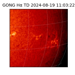 gong - 2024-08-19T11:03:22