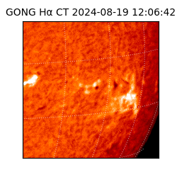 gong - 2024-08-19T12:06:42