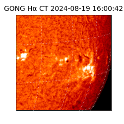 gong - 2024-08-19T16:00:42