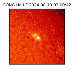 gong - 2024-08-19T03:00:42