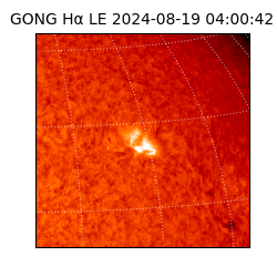 gong - 2024-08-19T04:00:42