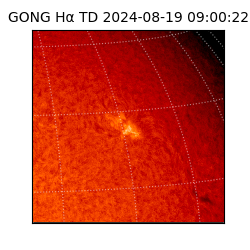 gong - 2024-08-19T09:00:22