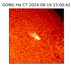 gong - 2024-08-19T15:00:42