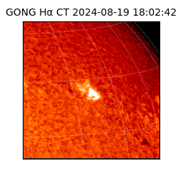 gong - 2024-08-19T18:02:42