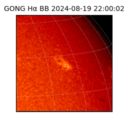 gong - 2024-08-19T22:00:02