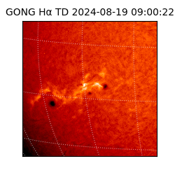 gong - 2024-08-19T09:00:22