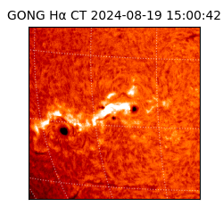 gong - 2024-08-19T15:00:42