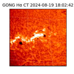gong - 2024-08-19T18:02:42