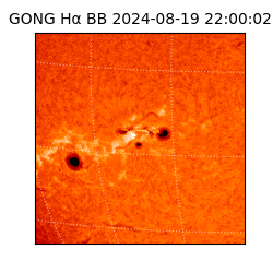gong - 2024-08-19T22:00:02