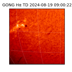 gong - 2024-08-19T09:00:22