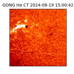 gong - 2024-08-19T15:00:42