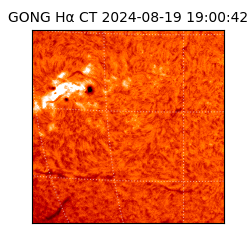 gong - 2024-08-19T19:00:42