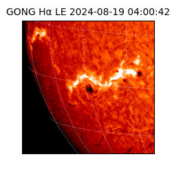 gong - 2024-08-19T04:00:42