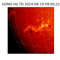gong - 2024-08-19T09:00:22