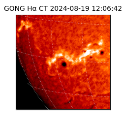 gong - 2024-08-19T12:06:42