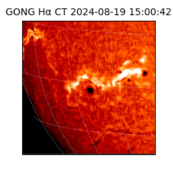 gong - 2024-08-19T15:00:42